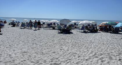 Madeira Beach Oasis