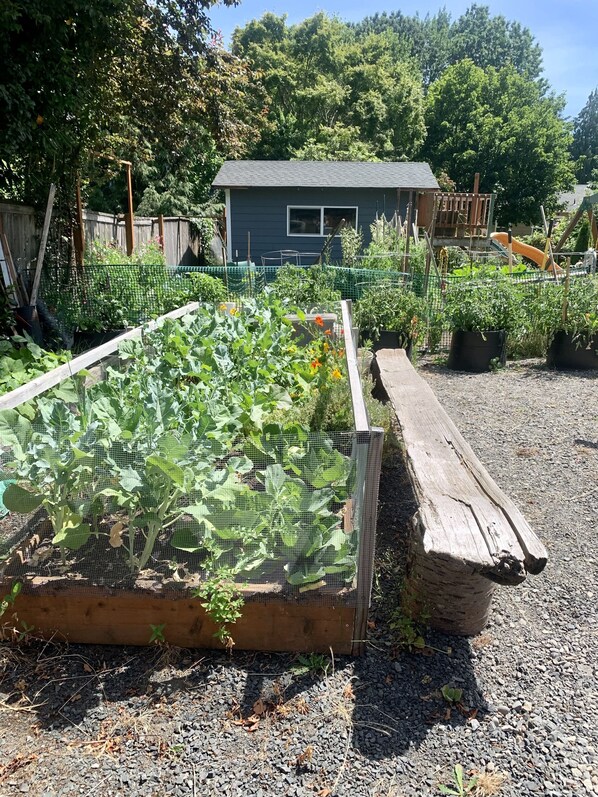Enjoy the serene garden with raised beds and a wooden bench, perfect for a peaceful retreat.