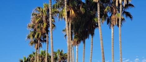 Ubicación cercana a la playa