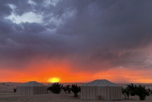 Experience serene desert accommodations under starry skies.
