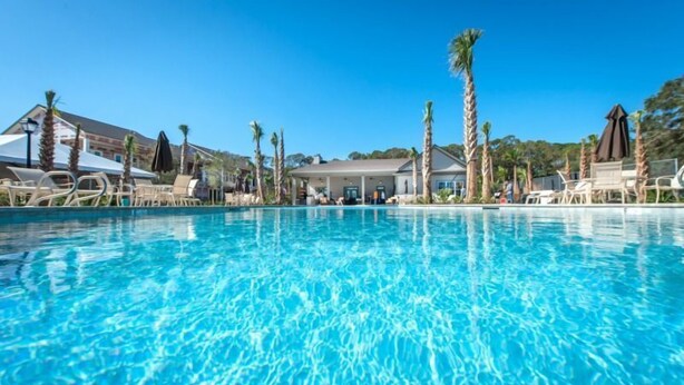 A clear blue pool with lounge chairs and palm trees around it.