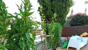 Een tuinpatio met betegelde vloer, houten omheining en diverse beplanting.