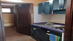Una cocina compacta con pileta, hornilla y placares.
