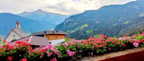 Terrain de lâhĂ©bergement