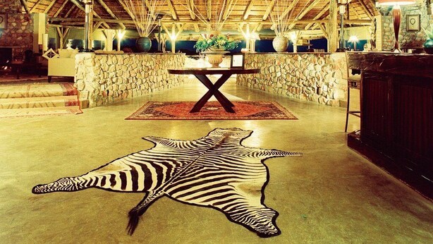 A spacious lobby with a high wooden ceiling and a chandelier, a stone wall, and a zebra rug on the floor. - Kwantu Game Reserve (Gqeberha (Port Elizabeth))