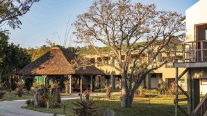 A resort with a thatched-roof pavilion, a large tree, and a building with multiple balconies. - Kwantu Game Reserve (Gqeberha (Port Elizabeth))