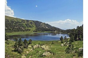 Un paisaje sereno con un lago, colinas ondulantes y árboles dispersos.