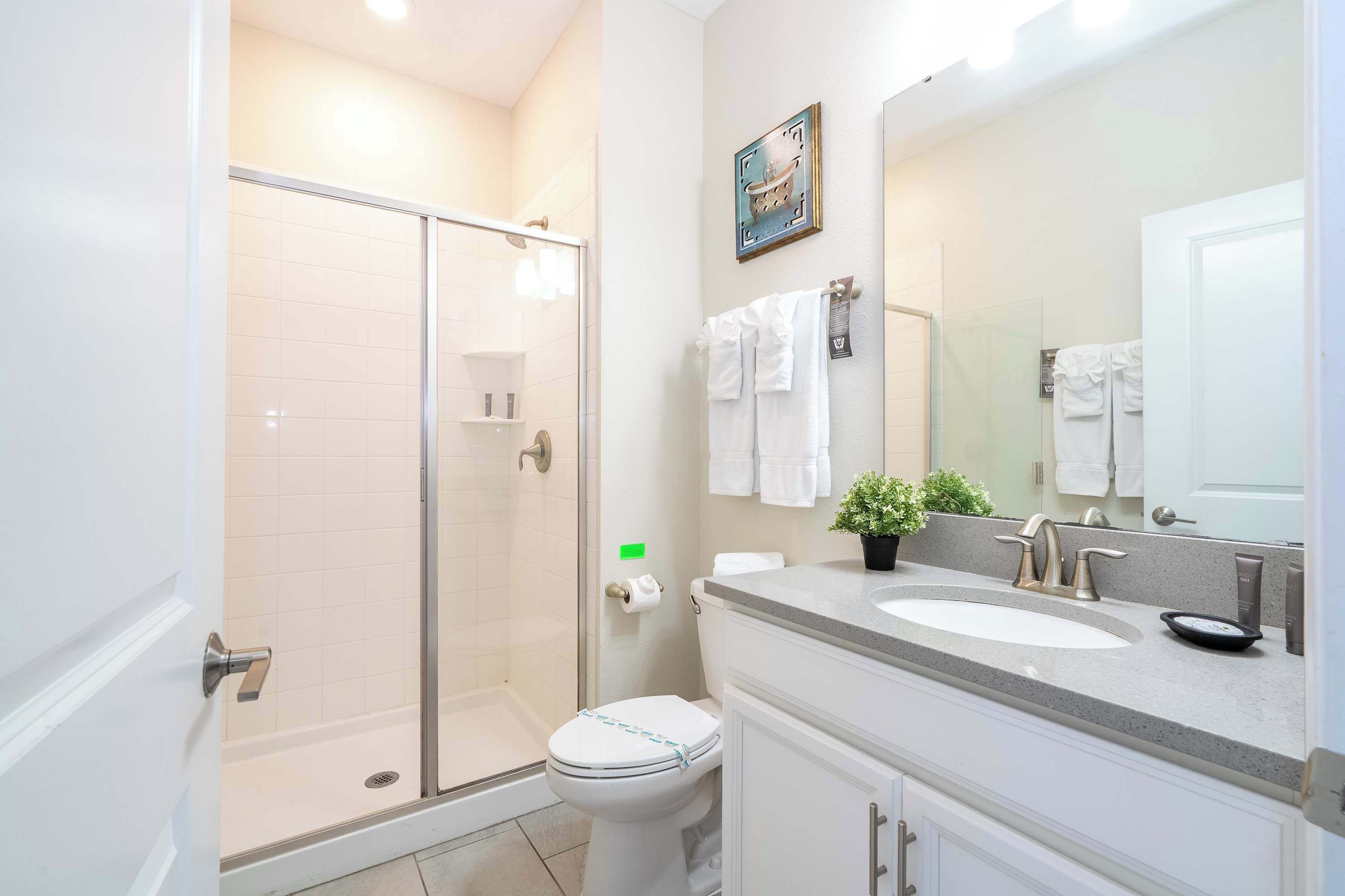 A modern bathroom with a glass shower enclosure, a white toilet, a sink with a mirror, and a potted plant on the countertop.