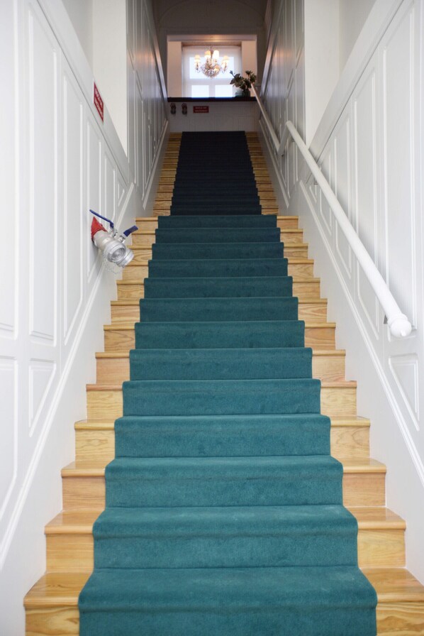 Un escalier avec des marches en bois et une moquette de couleur turquoise.