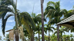 Un jardín tropical con palmeras, un camino y vista al océano.