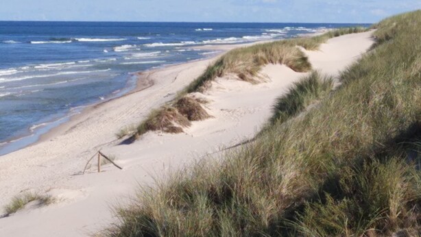 A beach with sand dunes and a clear view of the ocean.