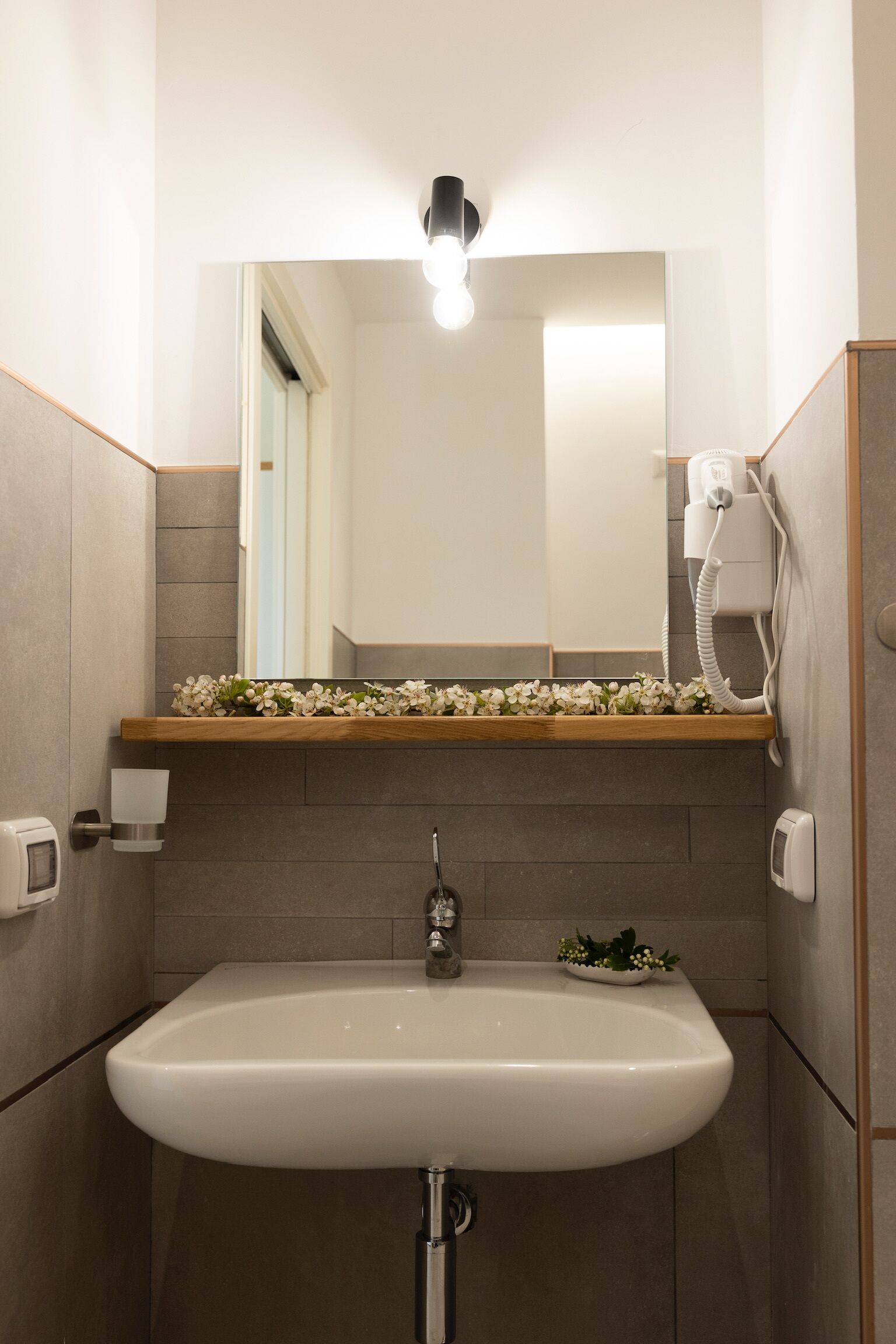 A bathroom with a white sink, a mirror above it, a hairdryer on the wall, and a small plant on the sink's edge.