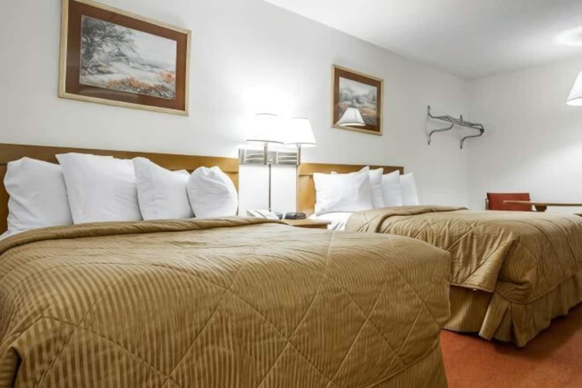 Une chambre d’hôtel avec deux lits, une table de chevet, une lampe et des œuvres d’art accrochées aux murs.