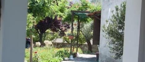 An outdoor garden area with a pergola, plants, and a pathway.