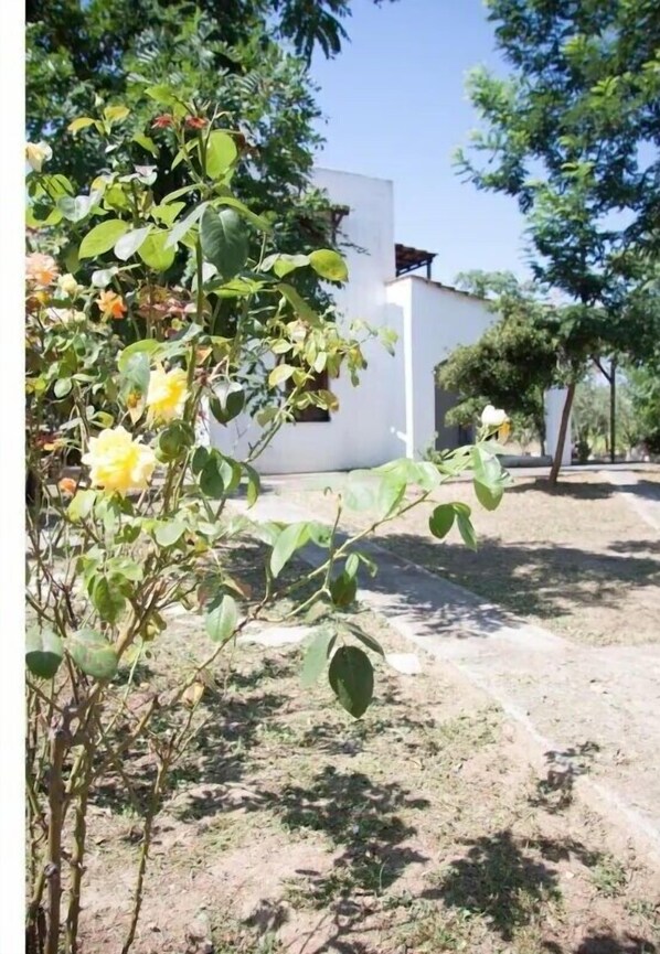 A building with a white exterior, surrounded by greenery and trees. - Apartment 'Maria's House 2' with Mountain View, Wi-Fi and Air Conditioning (Evias)