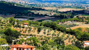 A panoramic view of a town with a river, hills, and scattered buildings.