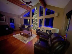 Smart TV, fireplace, DVD player, video library