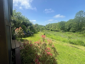 A view of a lush green landscape with a pathway leading through it, a wooden deck, and a row of Adirondack chairs.