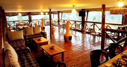 Da Vinci Gorilla Lodge