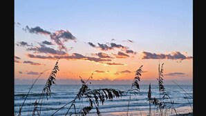 Cena de praia com ondas e vegetação em primeiro plano, e um pôr do sol ao fundo.