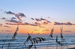 Une scène de plage avec des vagues et des herbes au premier plan, et un coucher de soleil en arrière-plan.