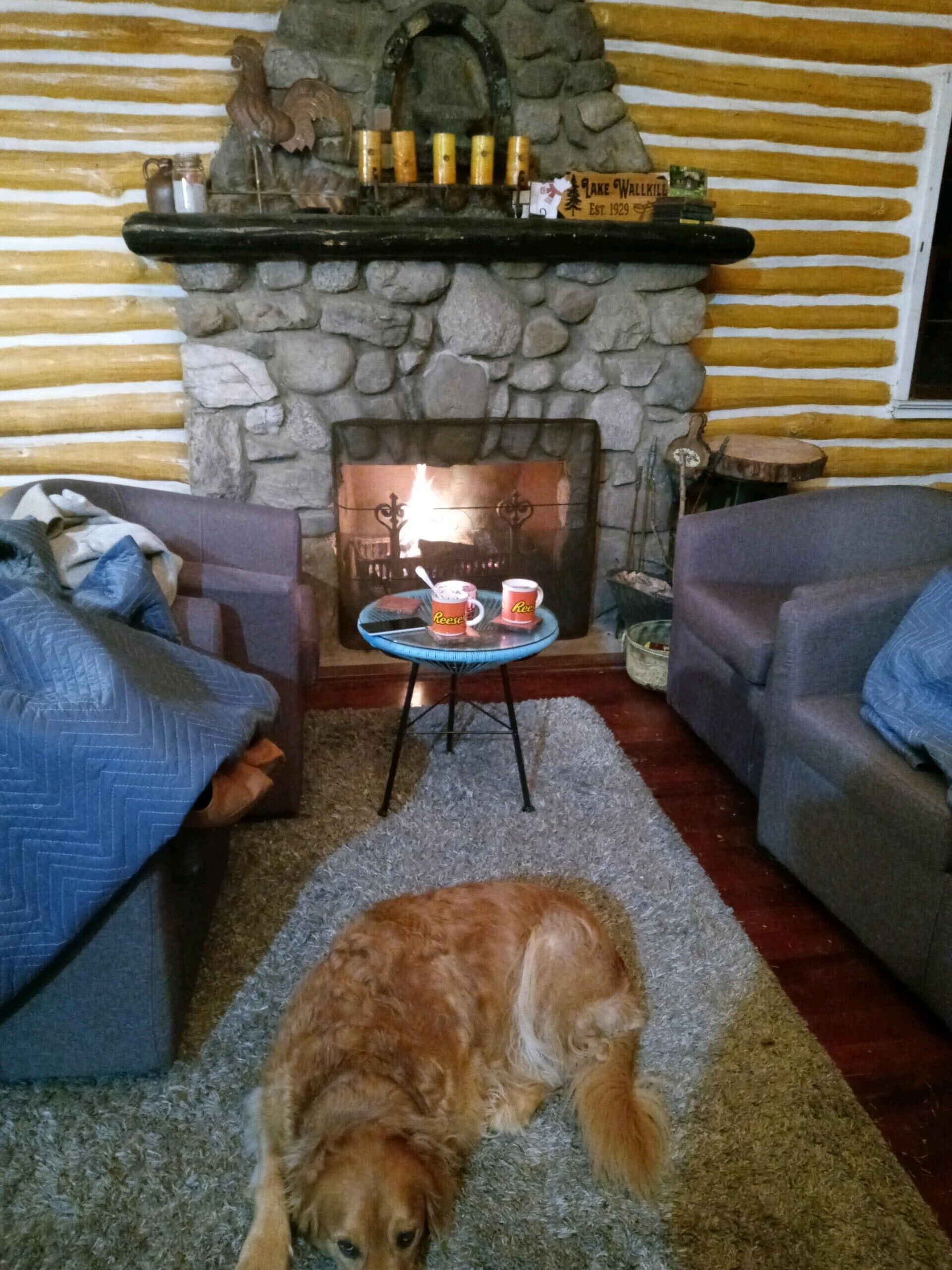 Original Chestnut Log Cabin In A Lake Community