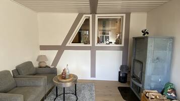 TV connectée, cheminée, livres