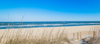 K2008 Endangered Species. Oceanfront, Dune-top Deck, Pets Allowed!