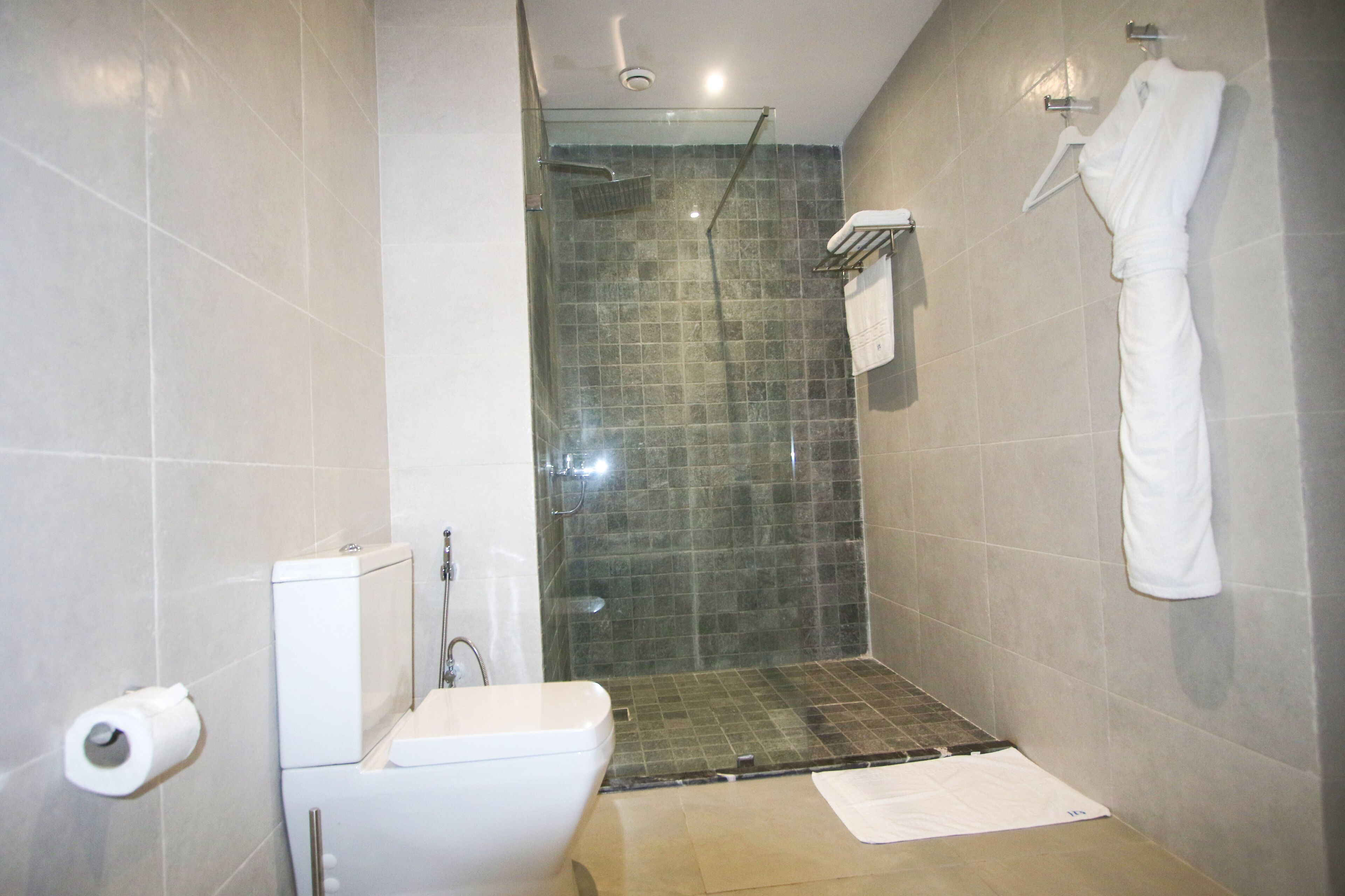 A modern bathroom with a glass-enclosed shower, a toilet, and a towel rack.
