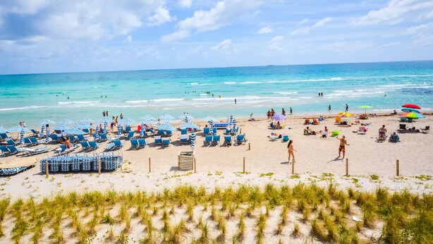 A beach with rows of blue and white striped beach chairs and umbrellas, a sandy foreground with grass, and the ocean in the background. - HYDE BEACH PRIVATE SUITES (Hollywood)