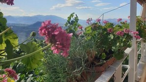 Un balcone con vasi di piante e fiori, affacciato su un paesaggio montuoso.