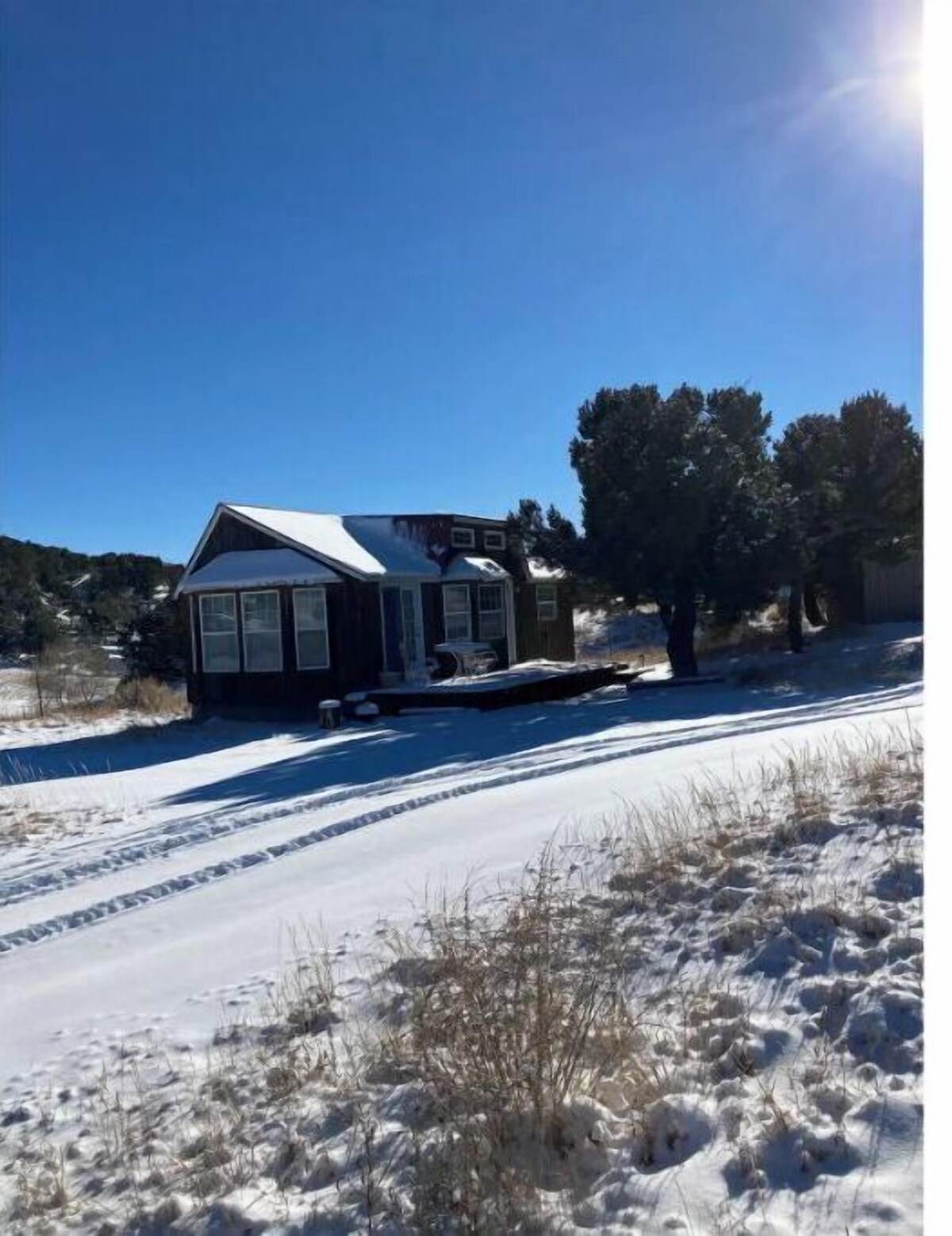 Immagine del profilo dell’host