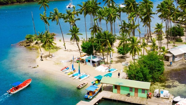 Una playa tropical con un muelle, palmeras y un pequeño edificio.