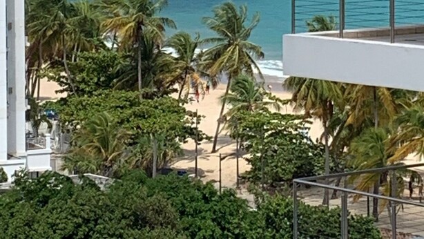 A view of a beach with palm trees and a clear blue ocean.