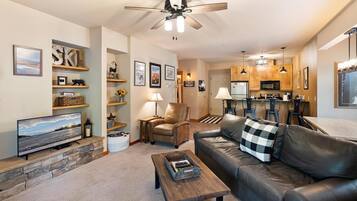 Smart TV, fireplace, books