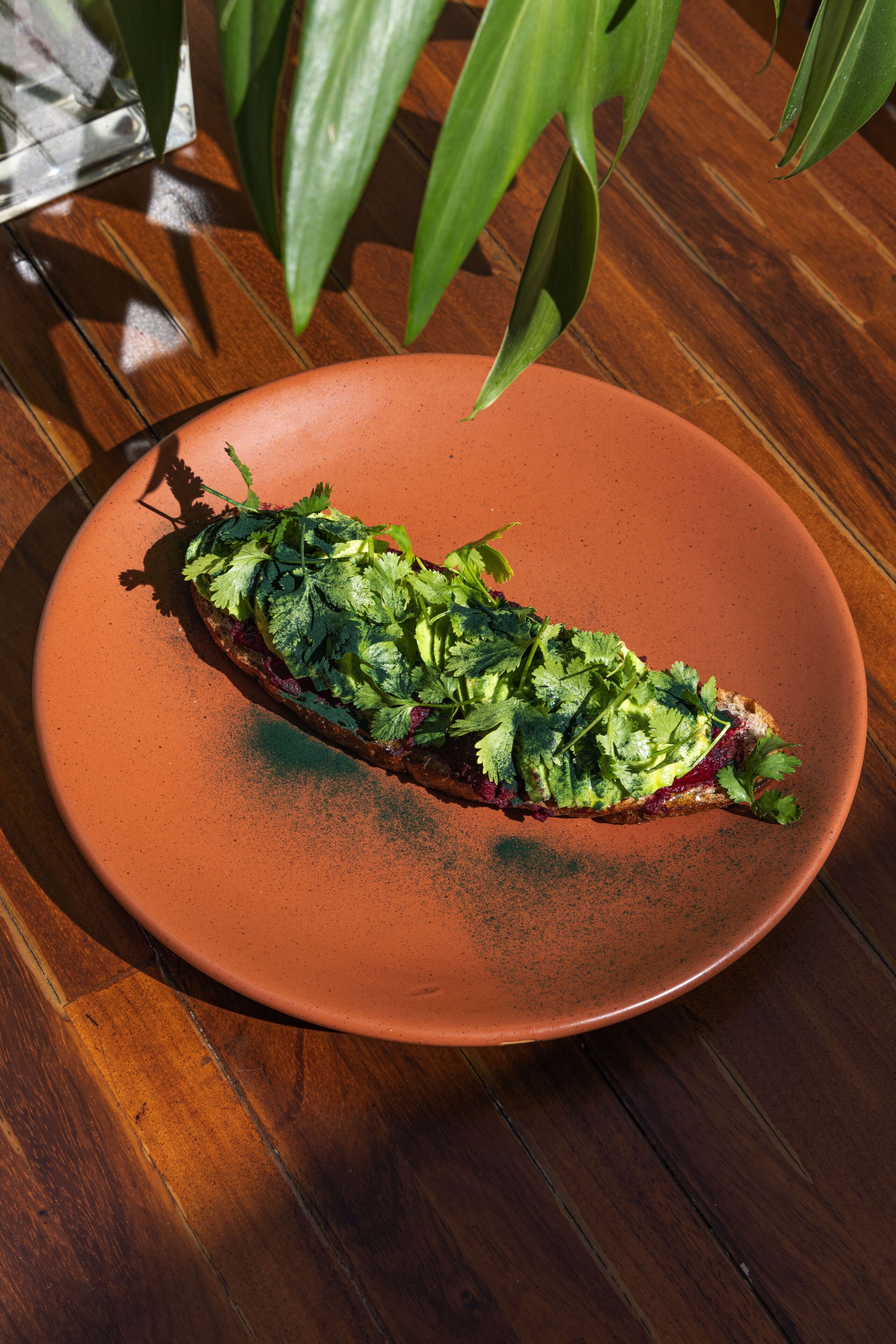 Foto - Más Palomas Concept House by Paloma's Hotels - Adults Only