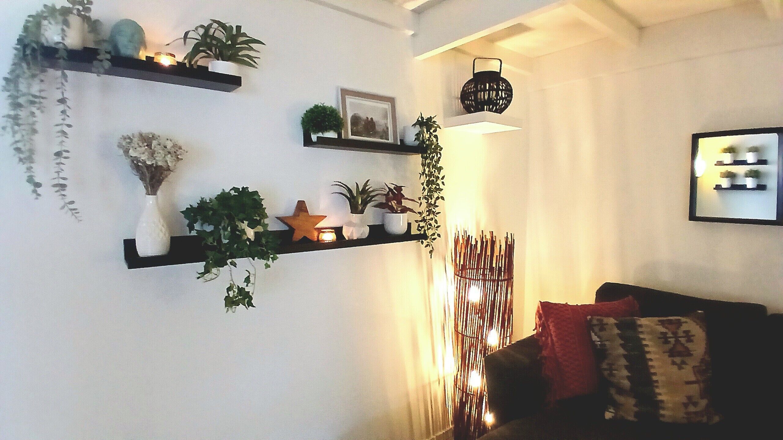 A living room with a sofa, a wall-mounted shelf with plants, a framed picture, and a decorative wall piece.
