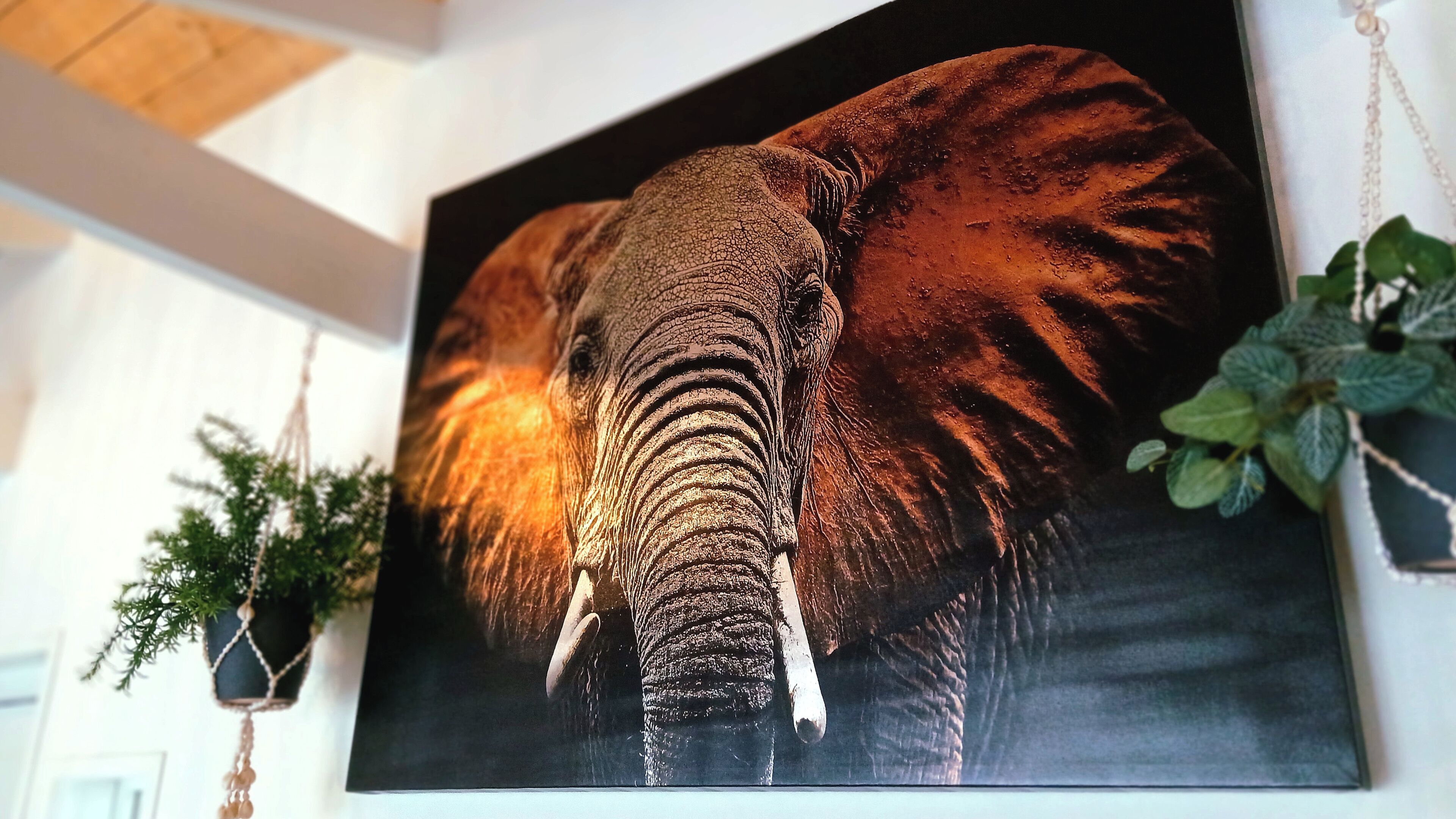 A large framed elephant artwork on a wall.