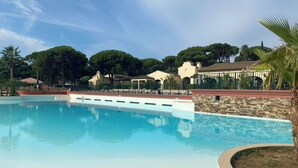 Une piscine avec un mur en pierre et un palmier au premier plan.