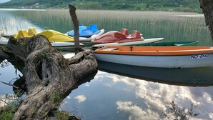 A row of colorful boats docked at a calm lake with a tree trunk in the foreground.