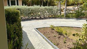 Un área ajardinada con pavimento y un sendero curvo, rodeada de diversas plantas y palmeras.