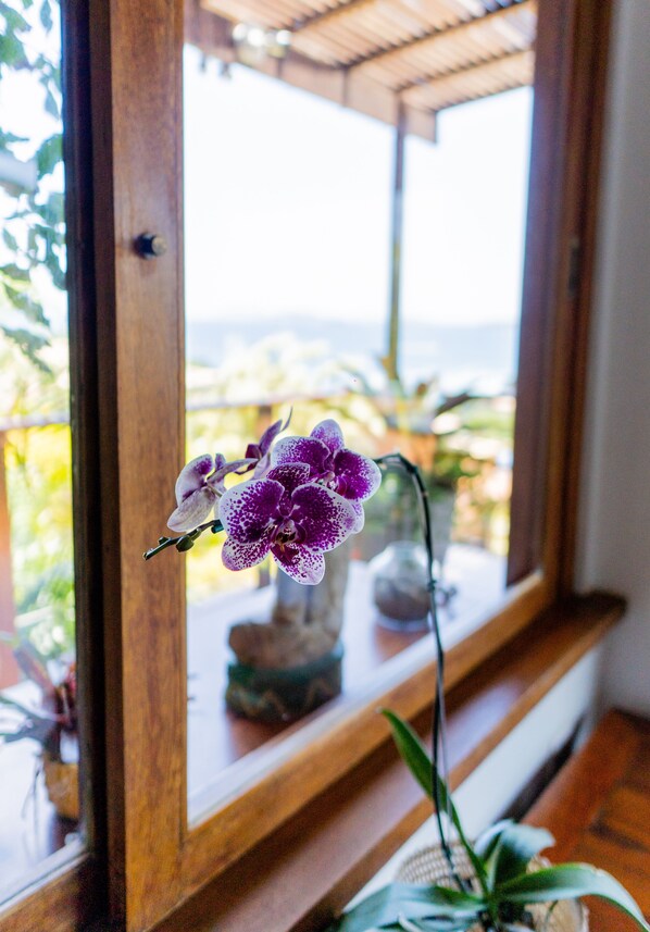 Una ventana con una orquídea púrpura y una planta en maceta.