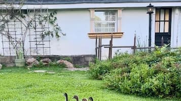 Overnattingsstedets uteområder