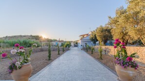 A pathway leading to a house with a stone wall and potted plants on either side.