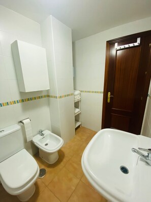 Combined shower/tub, bidet