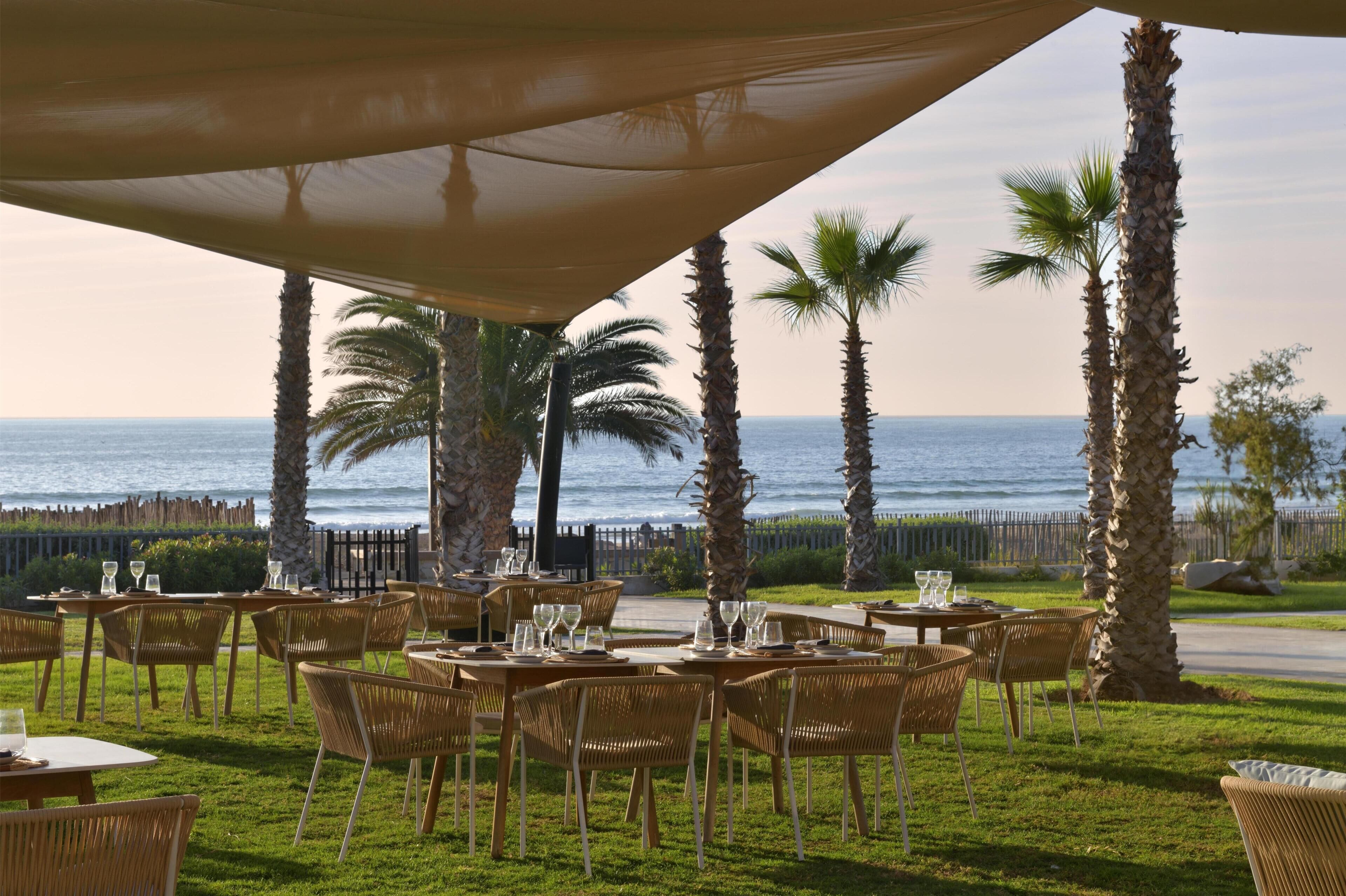 An outdoor dining area with tables and chairs, palm trees, and a view of the ocean.