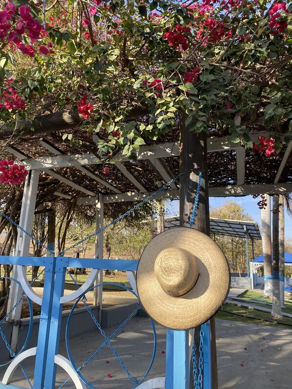 Enceinte de l’hébergement