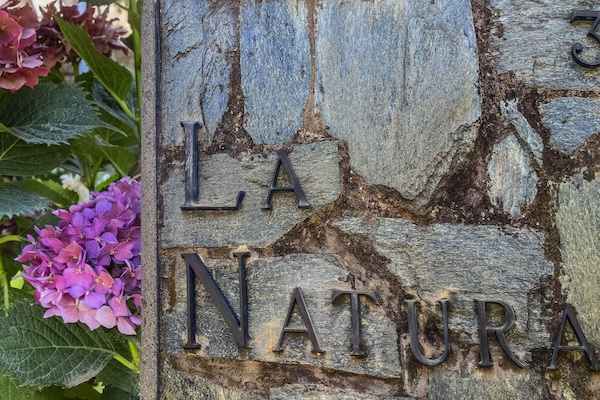 Detalhe da fachada