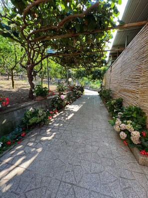 Parco della struttura