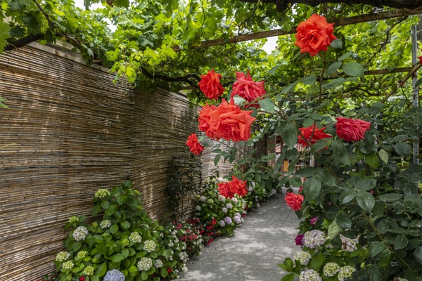 Área da propriedade